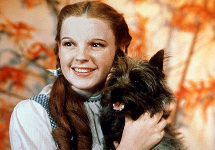 Dorothy sets out on a grand